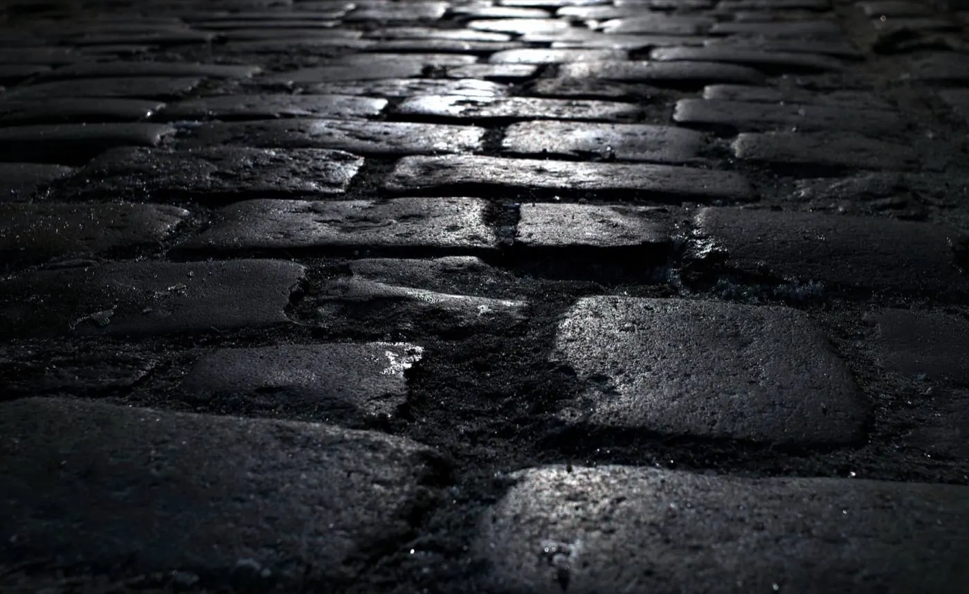 Wet cobblestone paving catching the light at night